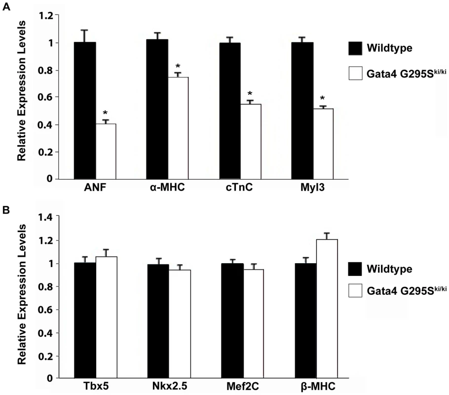 Decreased expression of Gata4 target genes in <i>Gata4 G295S<sup>ki/ki</sup></i> embryonic hearts.