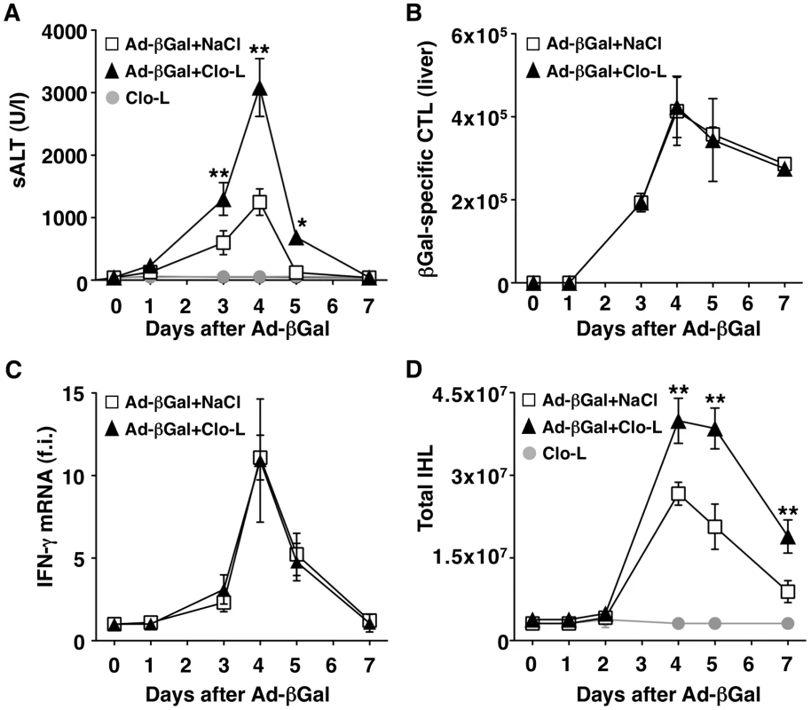 KCs limit liver immunopathology in adenovirus-infected mice, without affecting the number or function of virus-specific CTL.
