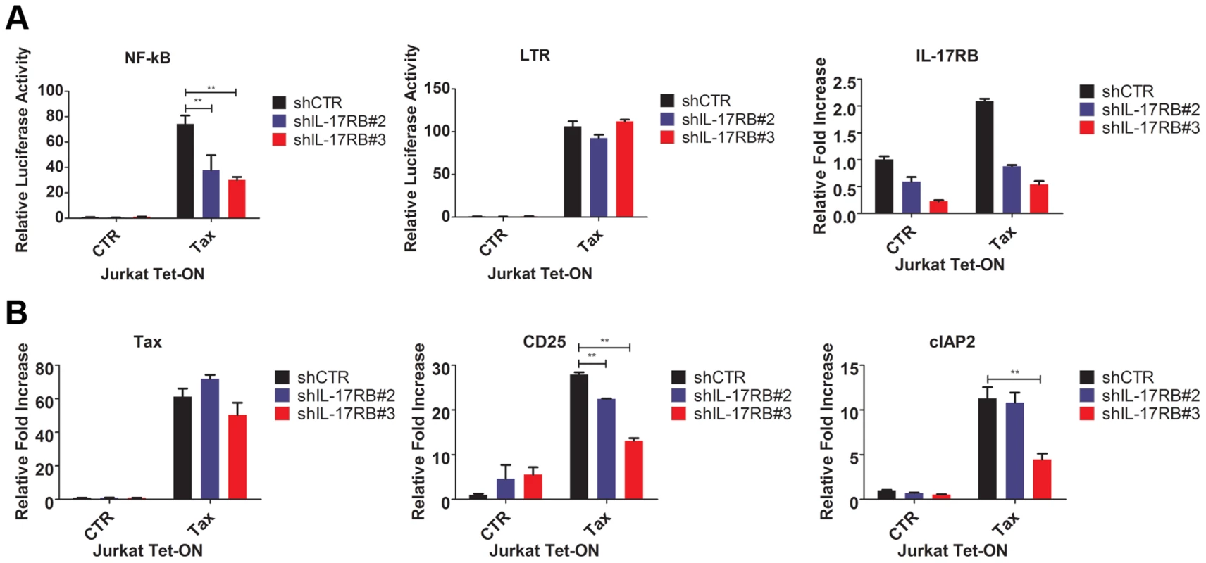 Tax requires IL-17RB for NF-κB activation in T cells.