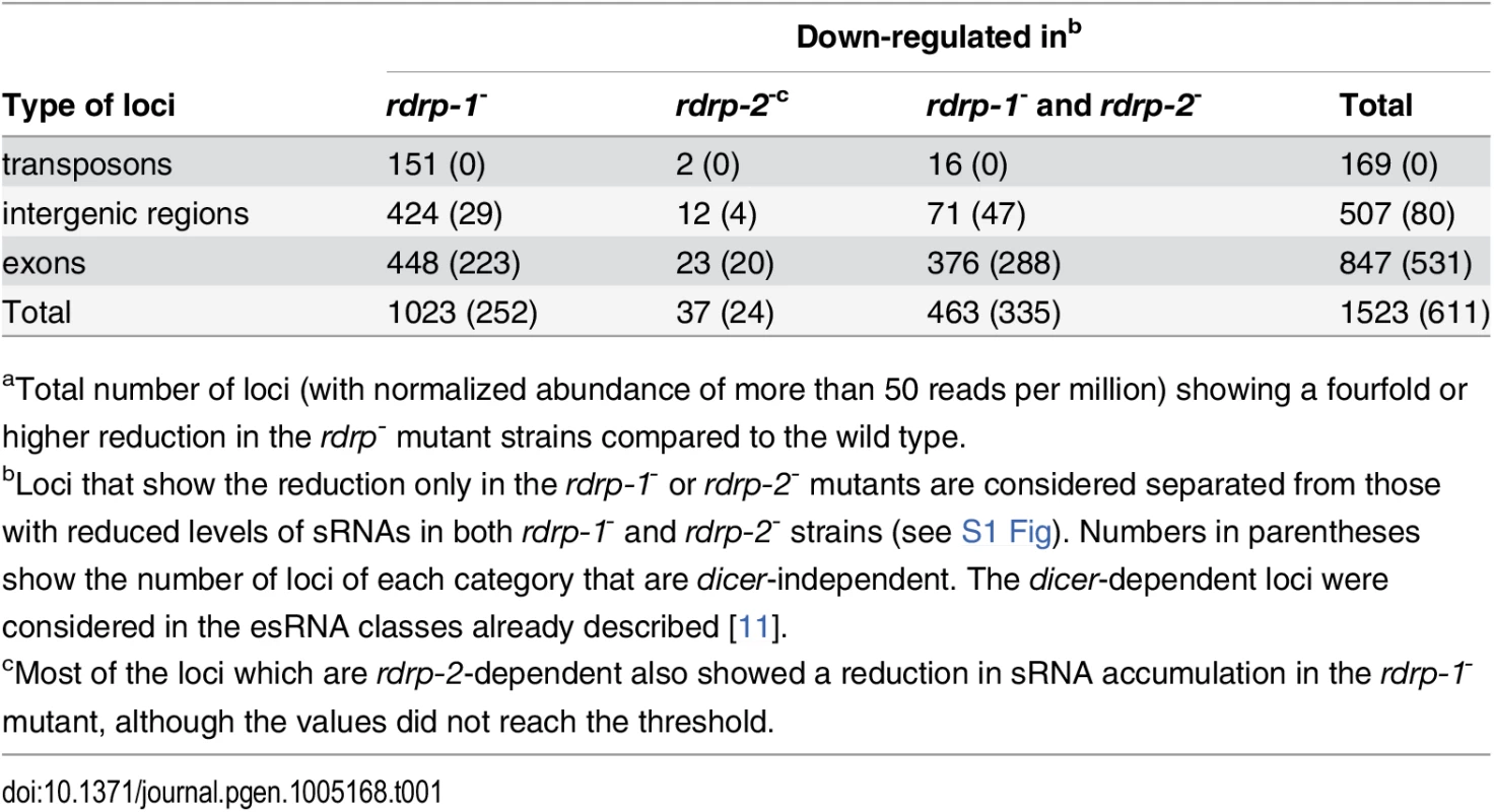 Number of loci down-regulated at sRNA level in <i>rdrp-1</i><sup>-</sup> and <i>rdrp-2</i><sup>-</sup> mutants<em class=&quot;ref&quot;><sup>a</sup></em>.