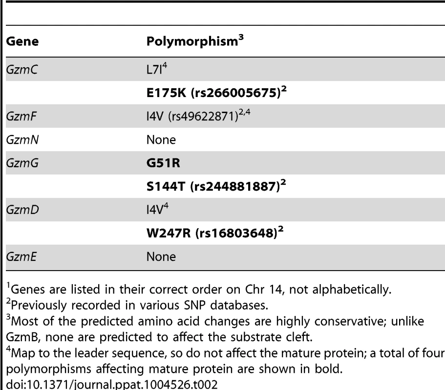 Non-synonymous polymorphisms in <i>Gzm</i> genes linked to <i>GzmB on Chr 14</i><em class=&quot;ref&quot;>1</em>.