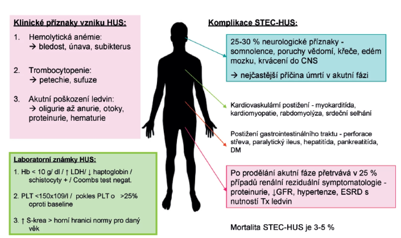 Klinický obraz a laboratorní známky typické formy HUS (STEC-HUS).
