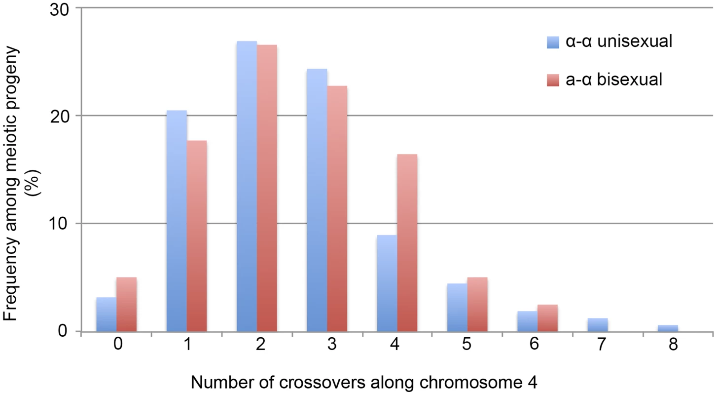 Crossovers are distributed along chromosome 4 during α-α unisexual and a-α bisexual reproduction.