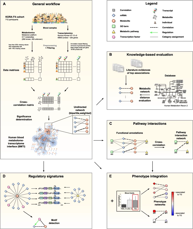 Data integration and network analysis workflow for the blood metabolome-transcriptome interface (BMTI).
