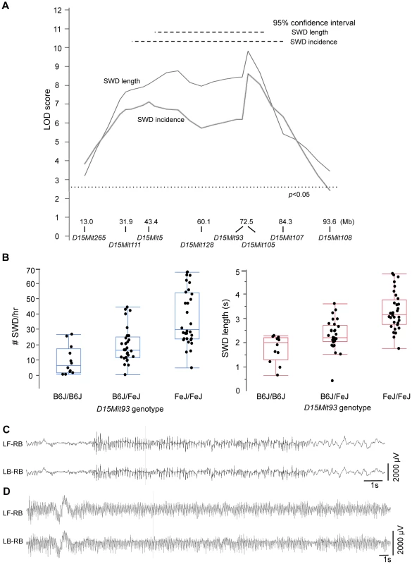 SWD phenotypes conferred by <i>G4swdm1</i>, a Chr 15 strain modifier of <i>Gria4</i> absence seizures.