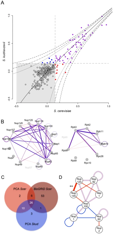 The NPC and RNApII networks are largely conserved between <i>Scer</i> and <i>Skud</i>.