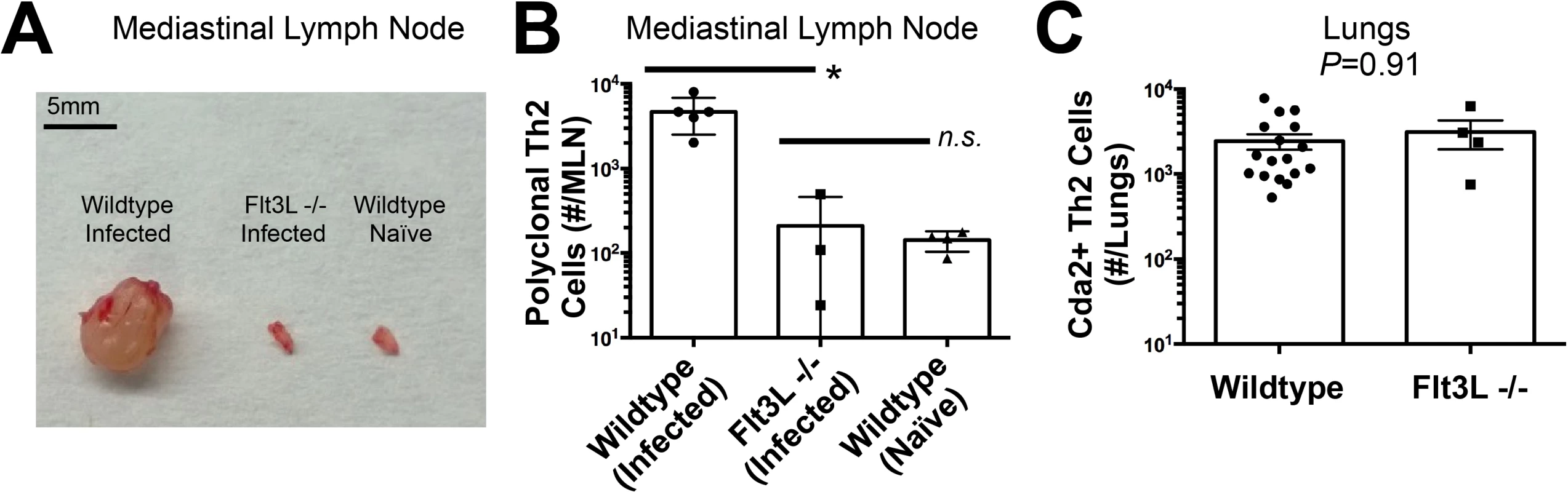 Lymphoid Priming is Dispensible for Pulmonary Th2 Cell Induction during Cryptococcal Infection.