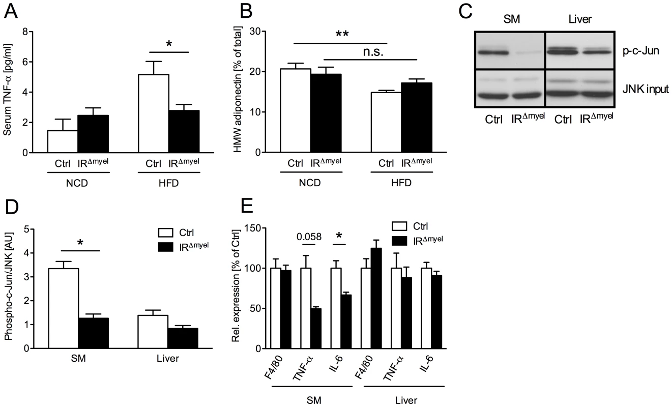 The obesity-associated systemic pro-inflammatory state is reduced in IR<sup>Δmyel</sup>-mice.