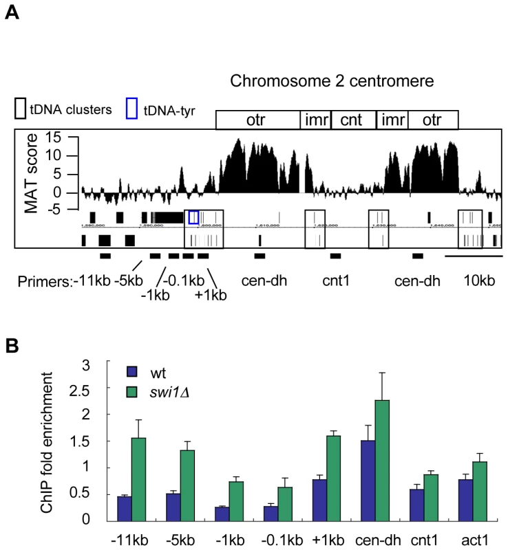 γH2A accumulates near tDNAs in the absence of Swi1.