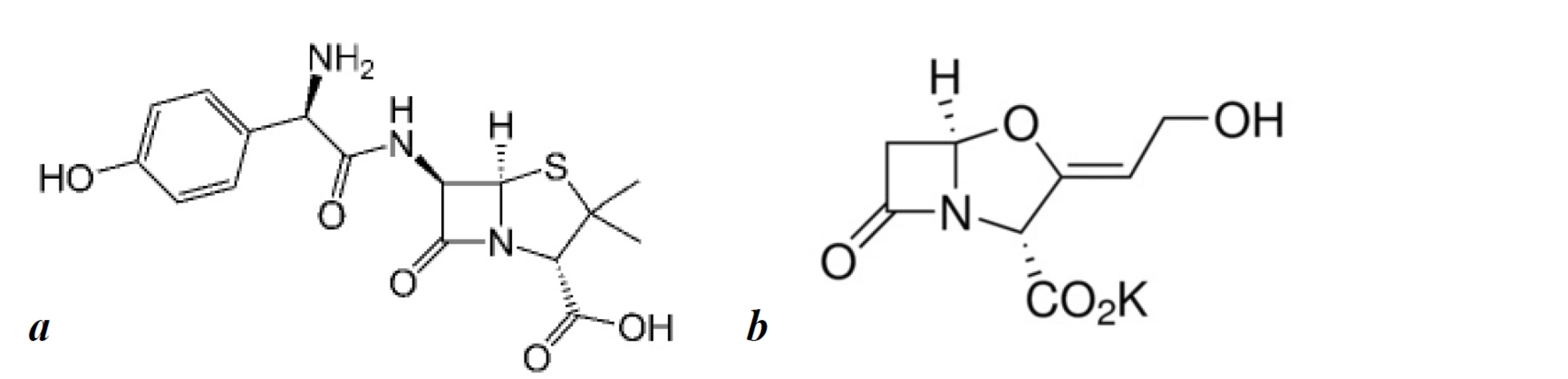 The structural formula of amoxicillin (a) and potassium clavulanate (b)
