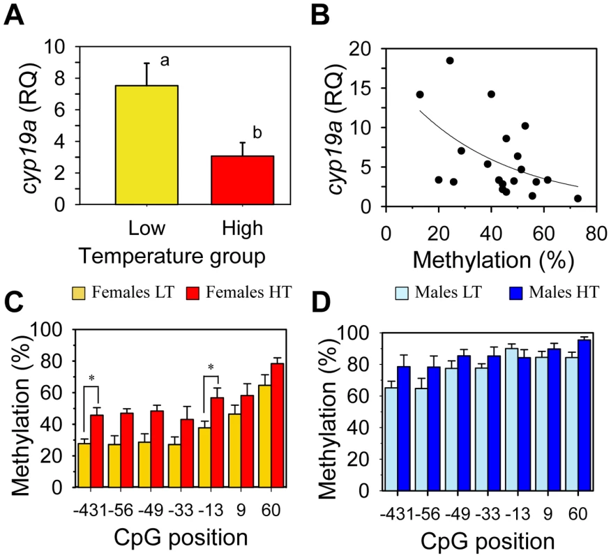 Effects of temperature on sb <i>cyp19a</i> promoter methylation levels and correlation with gonadal <i>cyp19a</i> gene expression.
