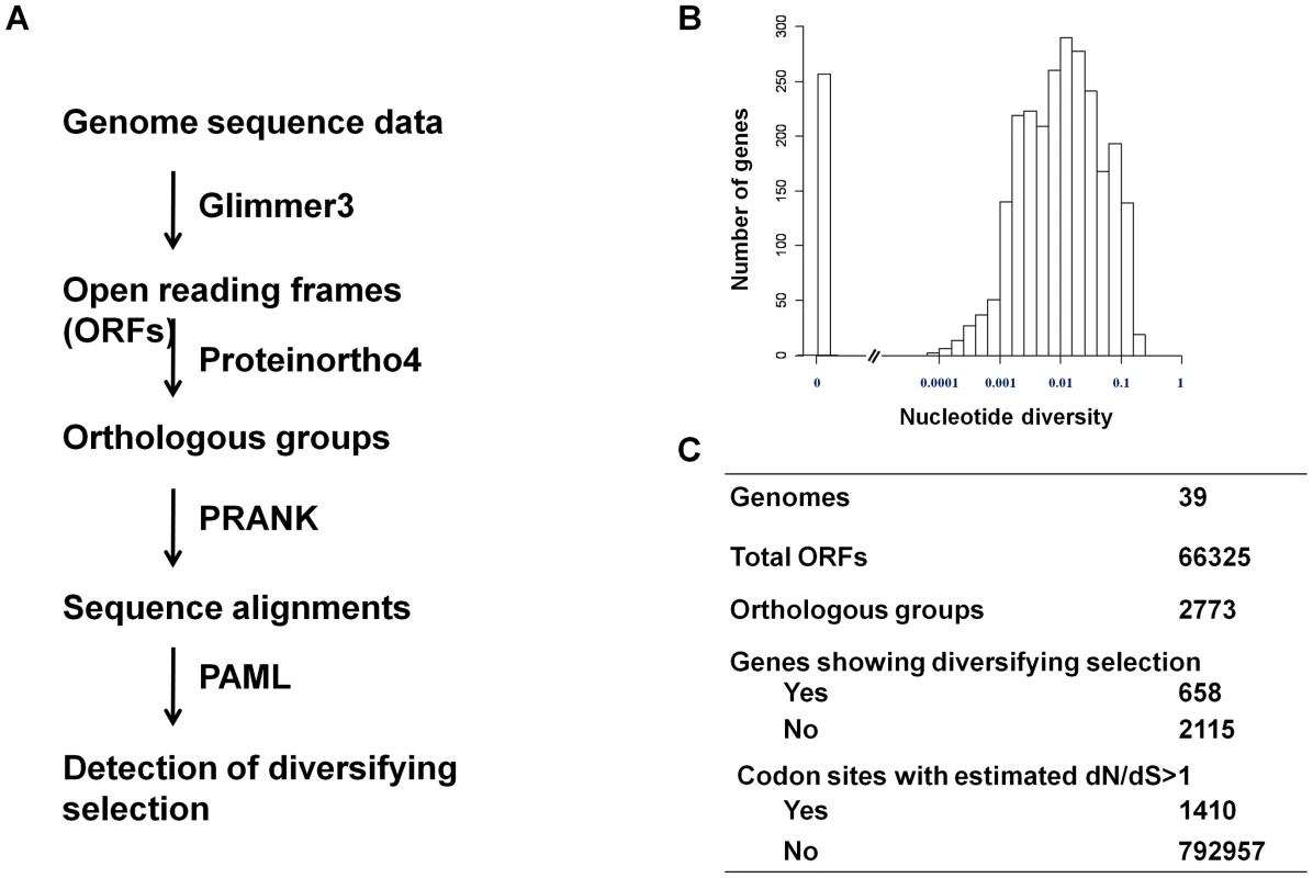 Detection of diversifying selection in pneumococcus.