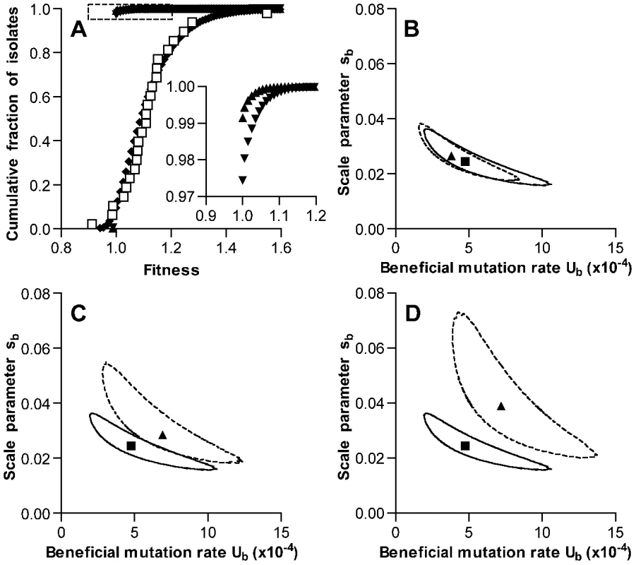 Simulation of fitness changes during single-colony serial transfer of <i>S. pneumoniae</i>.