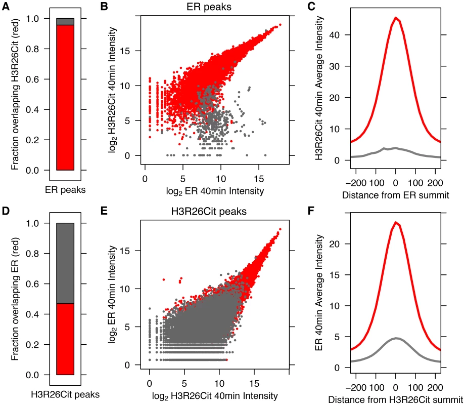 ER Binding and H3R26 citrullination are highly correlated after estrogen treatment.