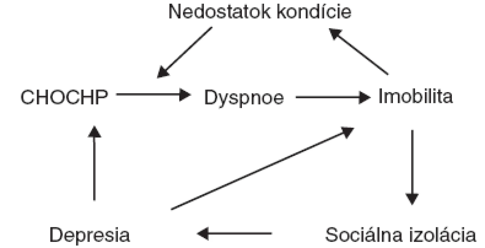 Cyklus fyzických, sociálnych a psychosociálnych dôsledkov CHOCHP
