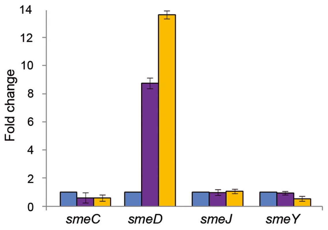 Triclosan increases the mRNA levels of <i>smeD</i>.