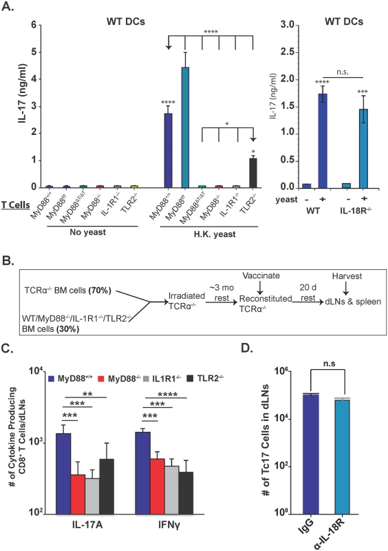 Role of IL-1R, IL-18R and TLR2 on Tc17 cell responses.