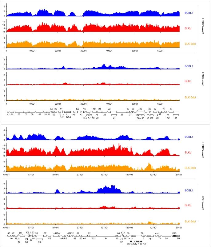 Global patterns of H3K27 and H3K9 tri-methylation on latent KSHV genomes.