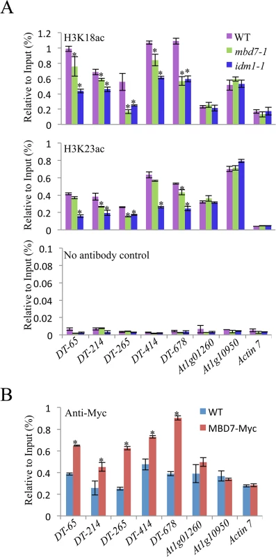 Histone acetylation marks and MBD7 association with chromatin.