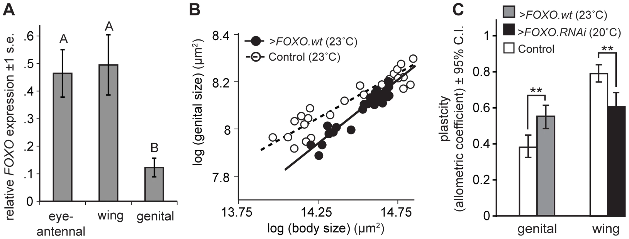 Organ-specific nutritional plasticity is regulated by differential expression of <i>FOXO</i>.