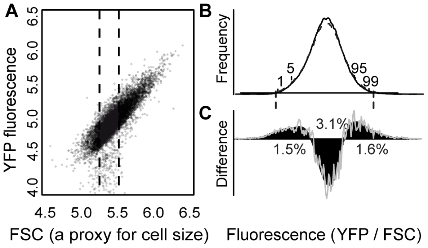 EMS treatment increased the frequency of cells with extreme YFP fluorescence.