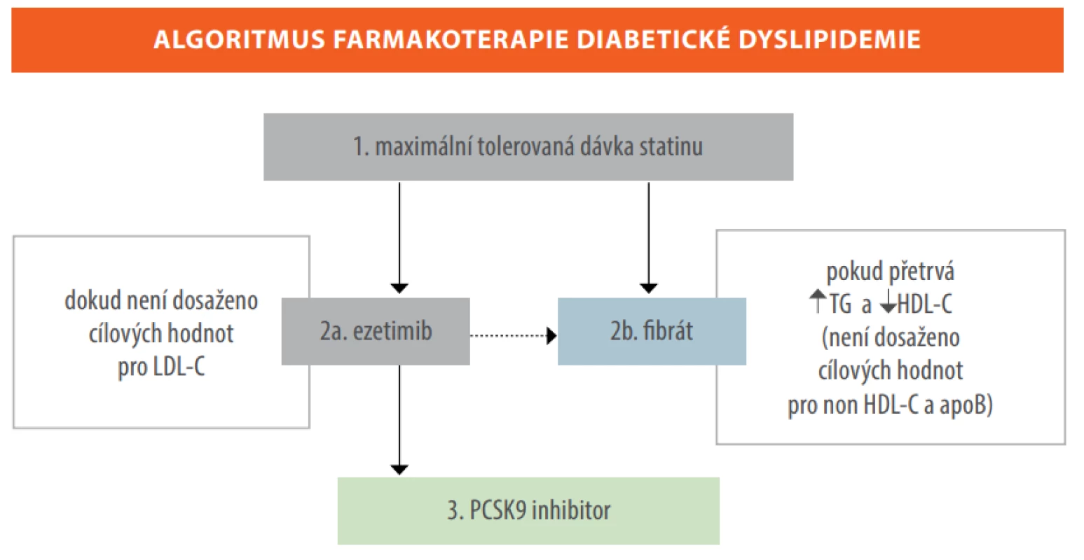 Algoritmus kombinované hypolipidemické léčby u nemocných s diabetem 2. typu (6) 