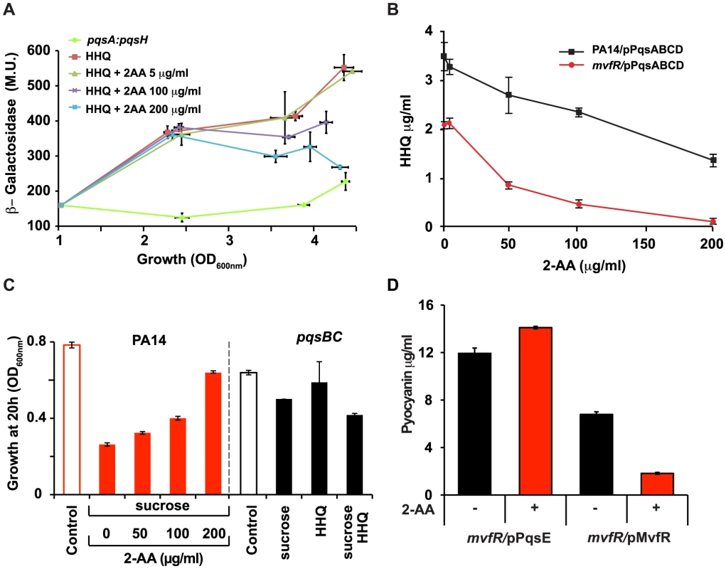 Negative regulation of the MvfR regulon by 2-AA is a result of down-regulation of <i>pqsABCDE</i> expression and interference with MvfR activity via inhibition of HHQ biosynthesis.