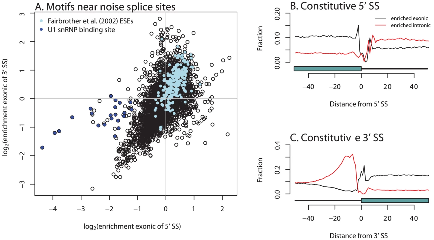 Hexamers enriched near unconserved splice sites are relevant in exon definition.