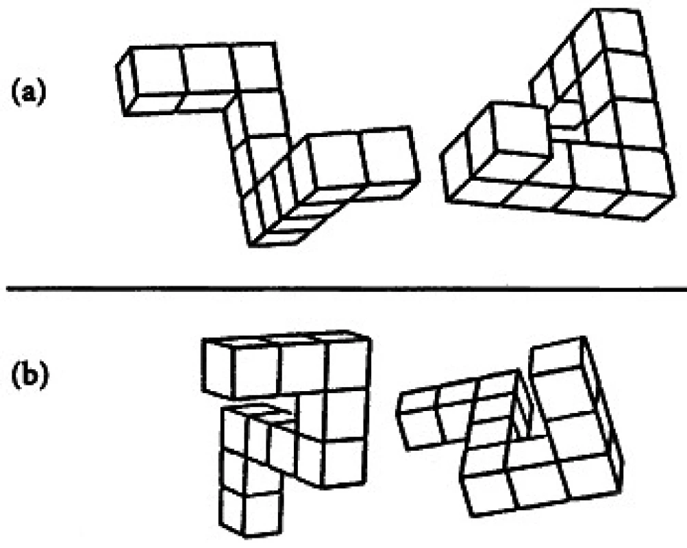 Mentální rotace: Jsou objekty na panelech a, b s výjimkou prostorové orientace totožné nebo jsou rozdílné?