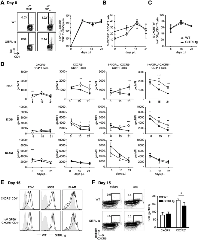 Kinetic analysis of Tfh cell responses against LCMV in GITRL tg mice.