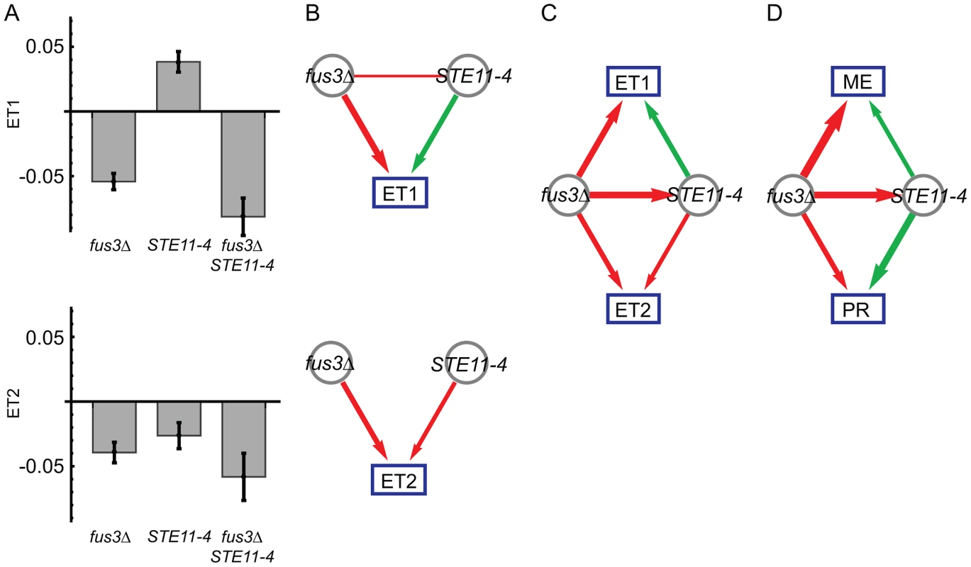 Genetic interactions between <i>fus3Δ</i> and <i>STE11-4</i> mutations, following <em class=&quot;ref&quot;><b>Figure 1</b></em>.
