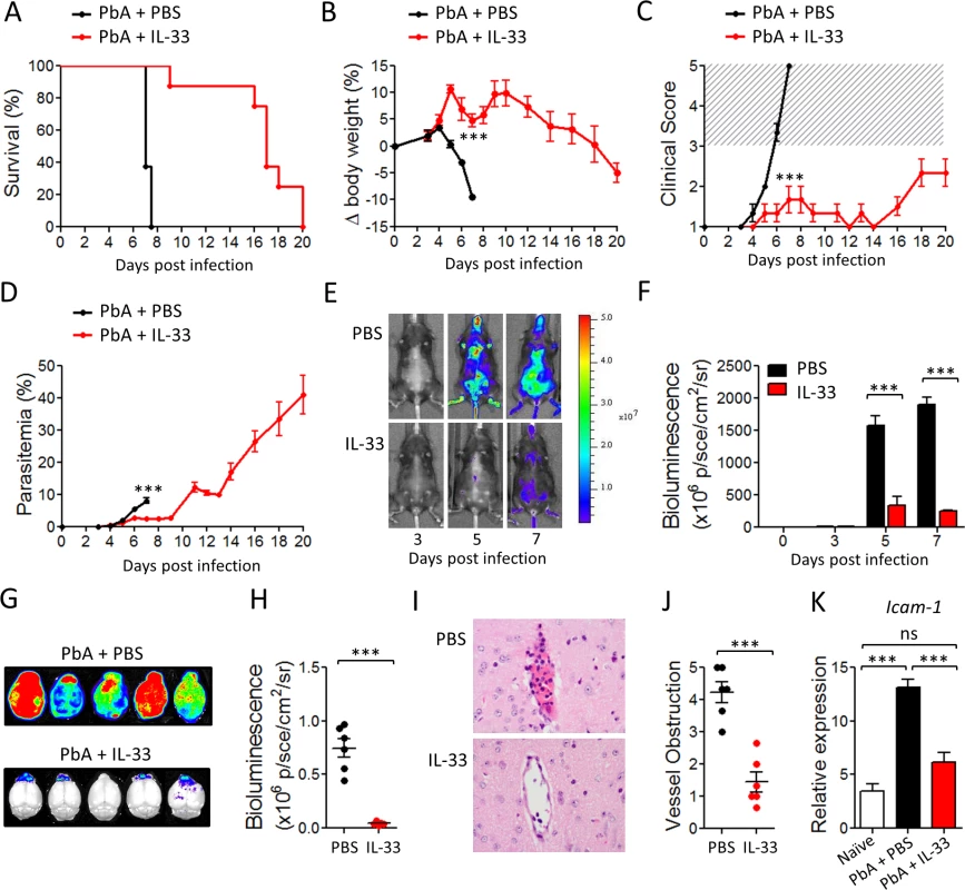 IL-33 protects mice from PbA-induced cerebral malaria.