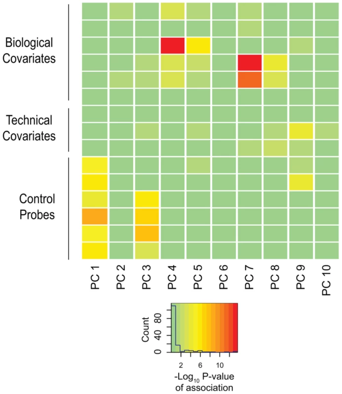 Biological and technical confounders contribute to methylation value variation.