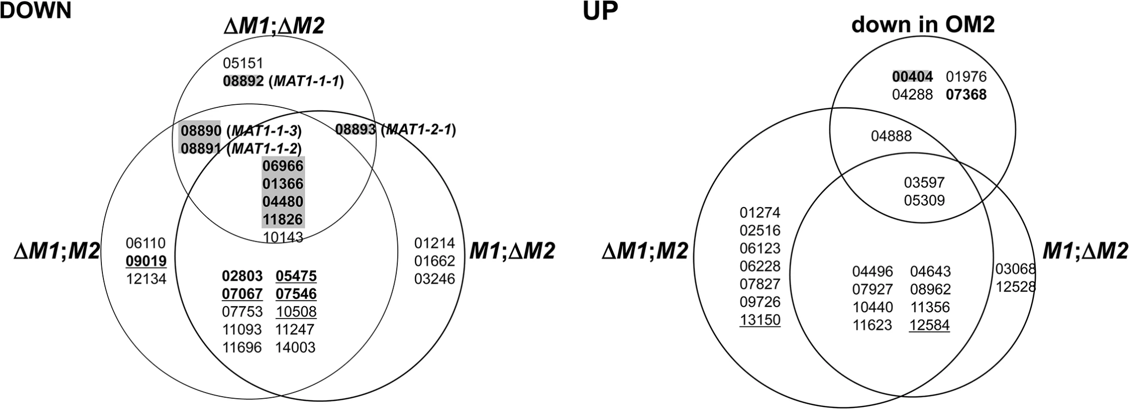 Genes encoding the transcription factors differentially expressed in the <i>F</i>. <i>graminearum</i> strains deleted for the <i>MAT1-1</i> locus (Δ<i>M1</i>;<i>M2</i>), <i>MAT1-2</i> locus (<i>M1</i>;Δ<i>M2</i>), both <i>MAT1-1</i> and <i>MAT1-2</i> loci (Δ<i>M1</i>;Δ<i>M2</i>), and overexpressing <i>MAT1-2-1</i> (OM2).