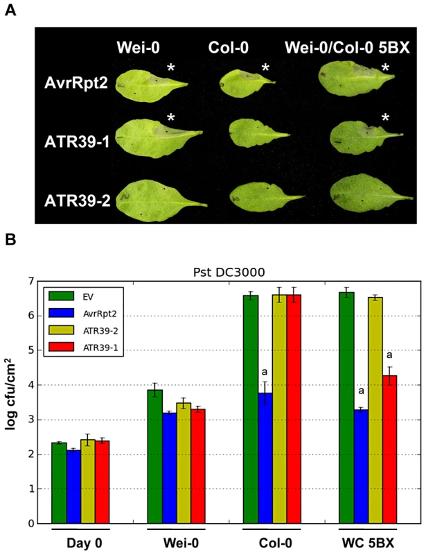 <i>Hpa</i> effector ATR39-1 is recognized by <i>A. thaliana</i> ecotype Wei-0.
