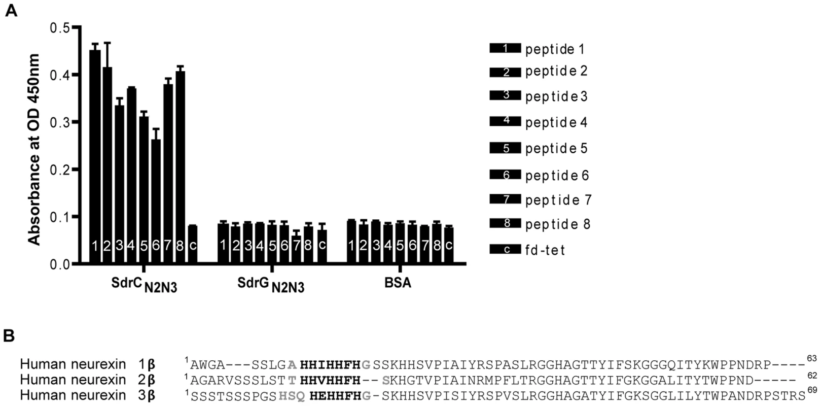 Identification of β-neurexins as the potential SdrC-binding partner.