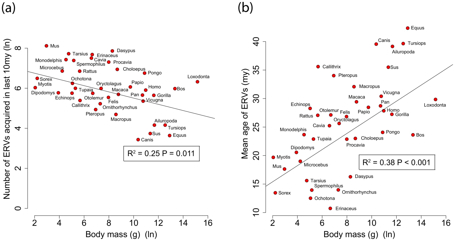 (a) Correlation between ERV count and body mass for the number of ERV integrations acquired over the last 10 my.