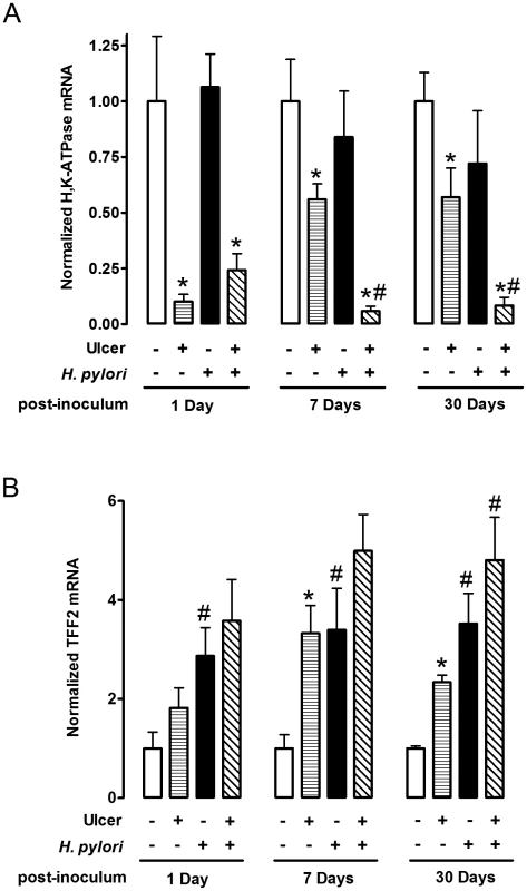 Effect of <i>H. pylori</i> on gene expression change during ulcer healing.