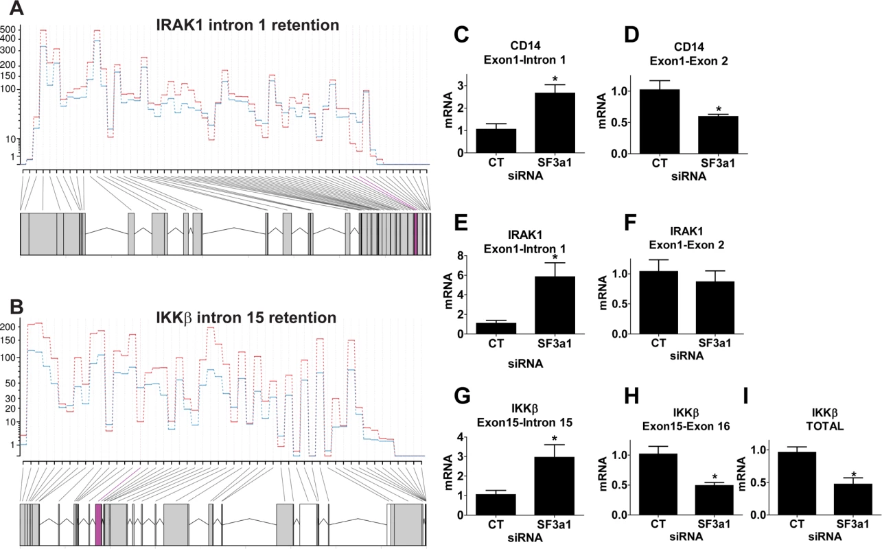 SF3a1 inhibition leads to intron retention in several TLR signaling pathway genes.