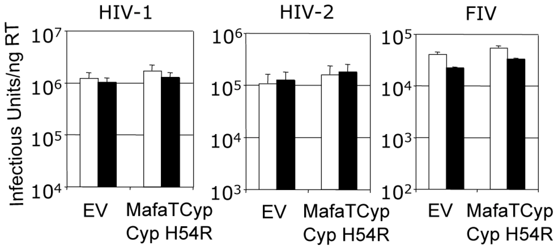Mutation H54R in the Cyp domain abrogates Mafa TRIMCyp2's antiviral activity against HIV-1 and FIV.