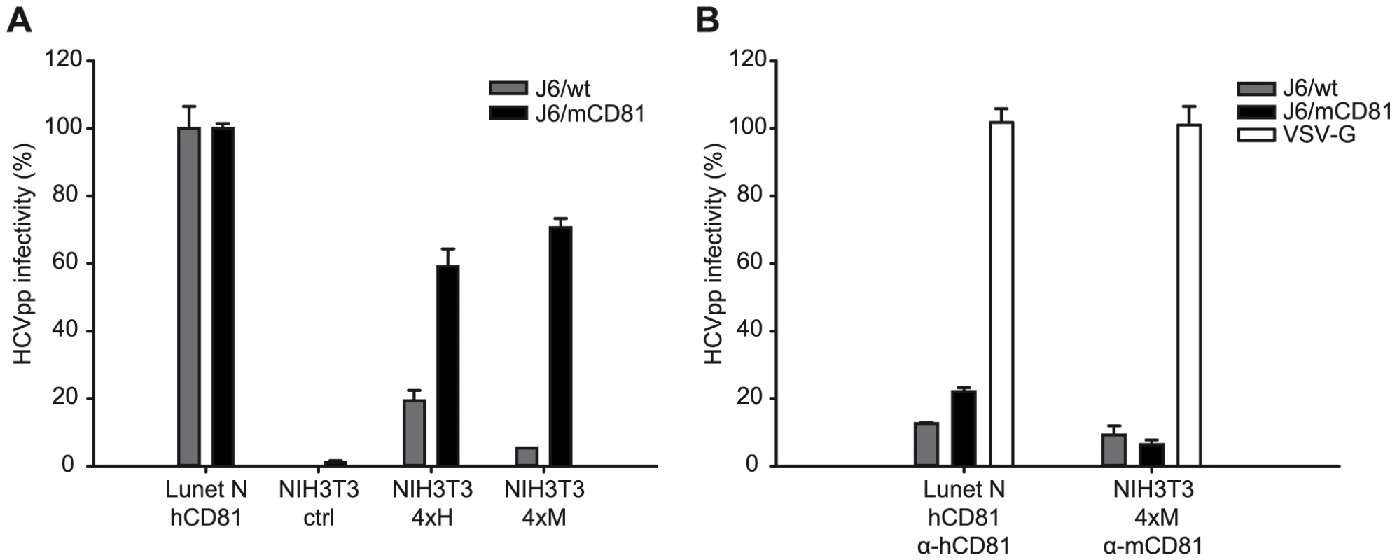 CD81 dependent infection of NIH3T3 cells expressing human or mouse entry factors by HCVpp.