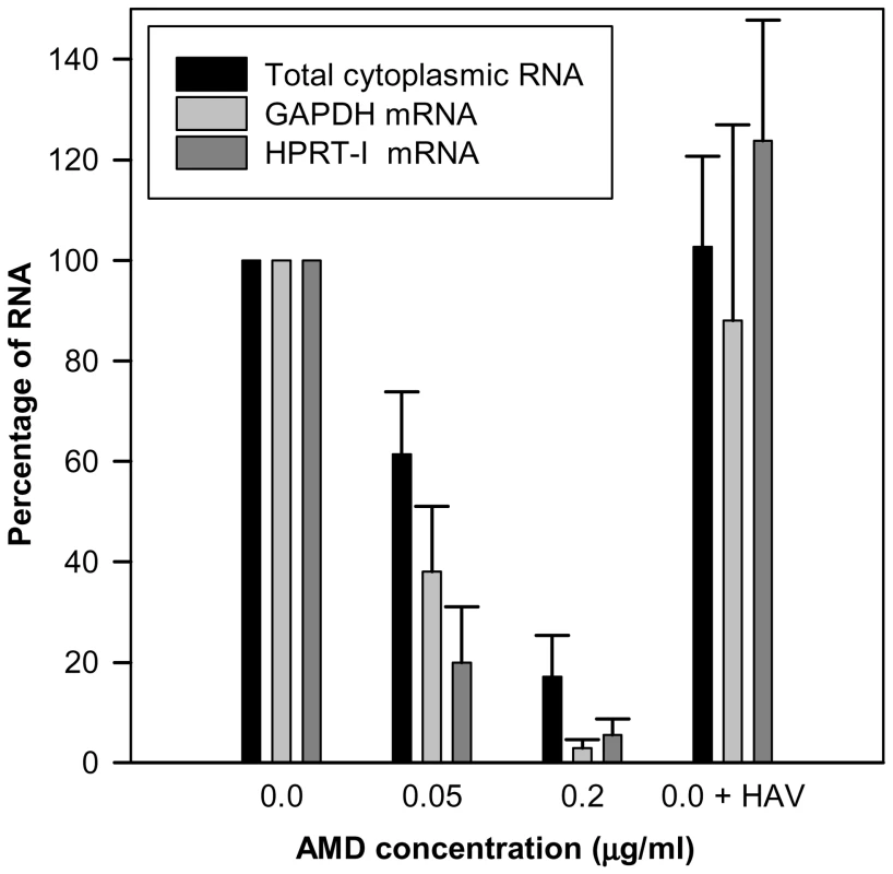Abundance (percent) of total cytoplasmic RNA and mRNA from two house-keeping genes (GAPDH and HPRT-I) in uninfected FRhK-4 cell monolayers growing in the absence of AMD, in the presence of 0.05 µg/ml and 0.2 µg/ml of AMD, and in HAV-infected cells in the absence of the drug.