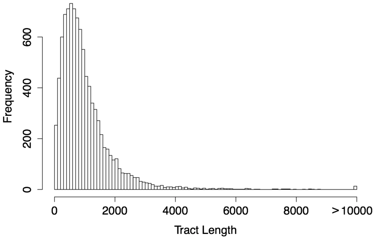 Length distribution of predicted human gBGC tracts ().