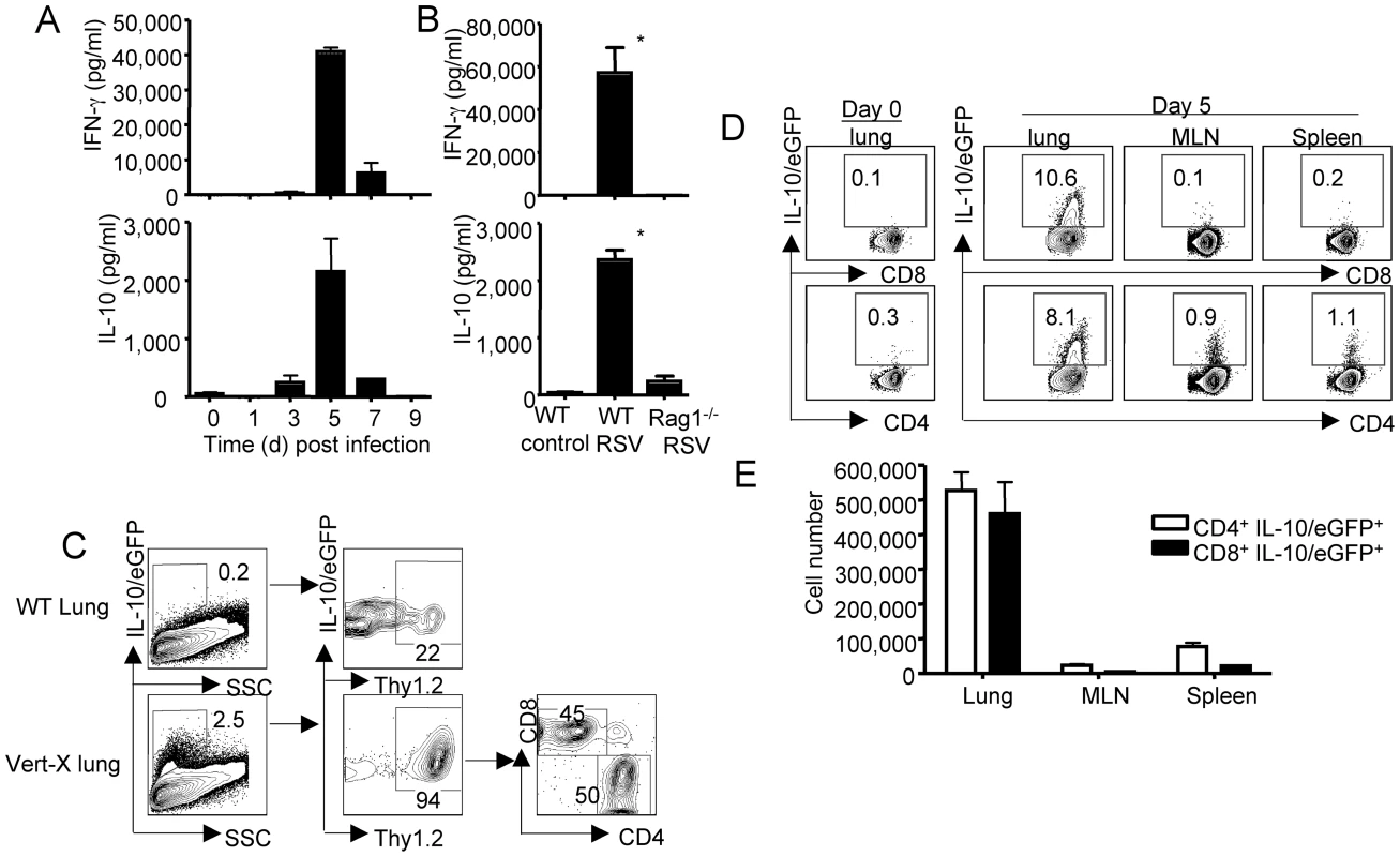 T cells are the major source of IL-10 during Respiratory Syncyial Virus infection.