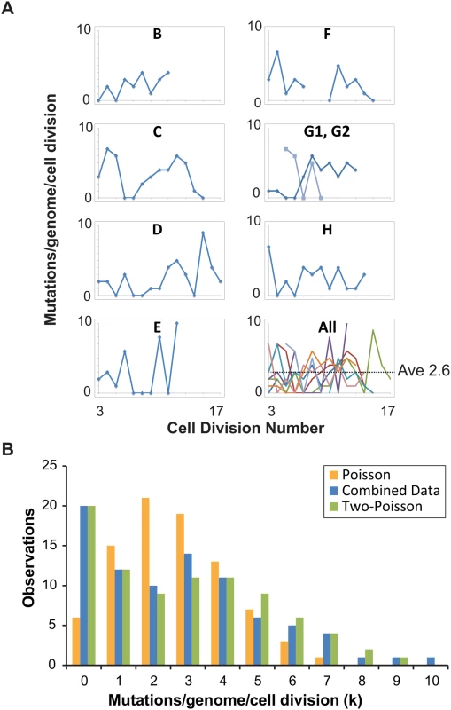Distribution of single cell mutation counts in mother cells.