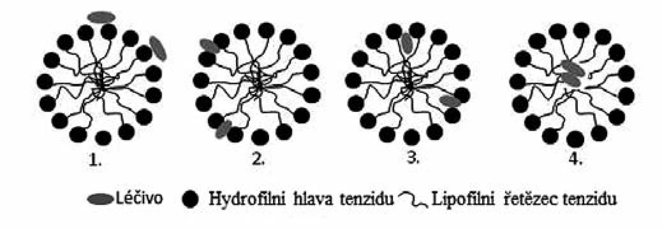 Možnosti inkorporace léčiva do micel tenzidu&lt;sup&gt;14)&lt;/sup&gt;