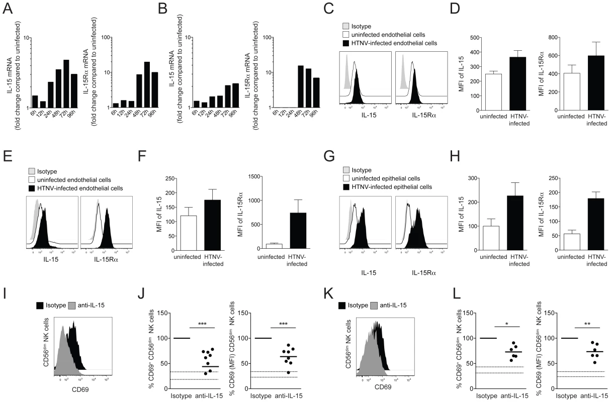 Induced IL-15 and IL-15Rα expression in hantavirus-infected cells drives CD56<sup>dim</sup> NK cell activation.