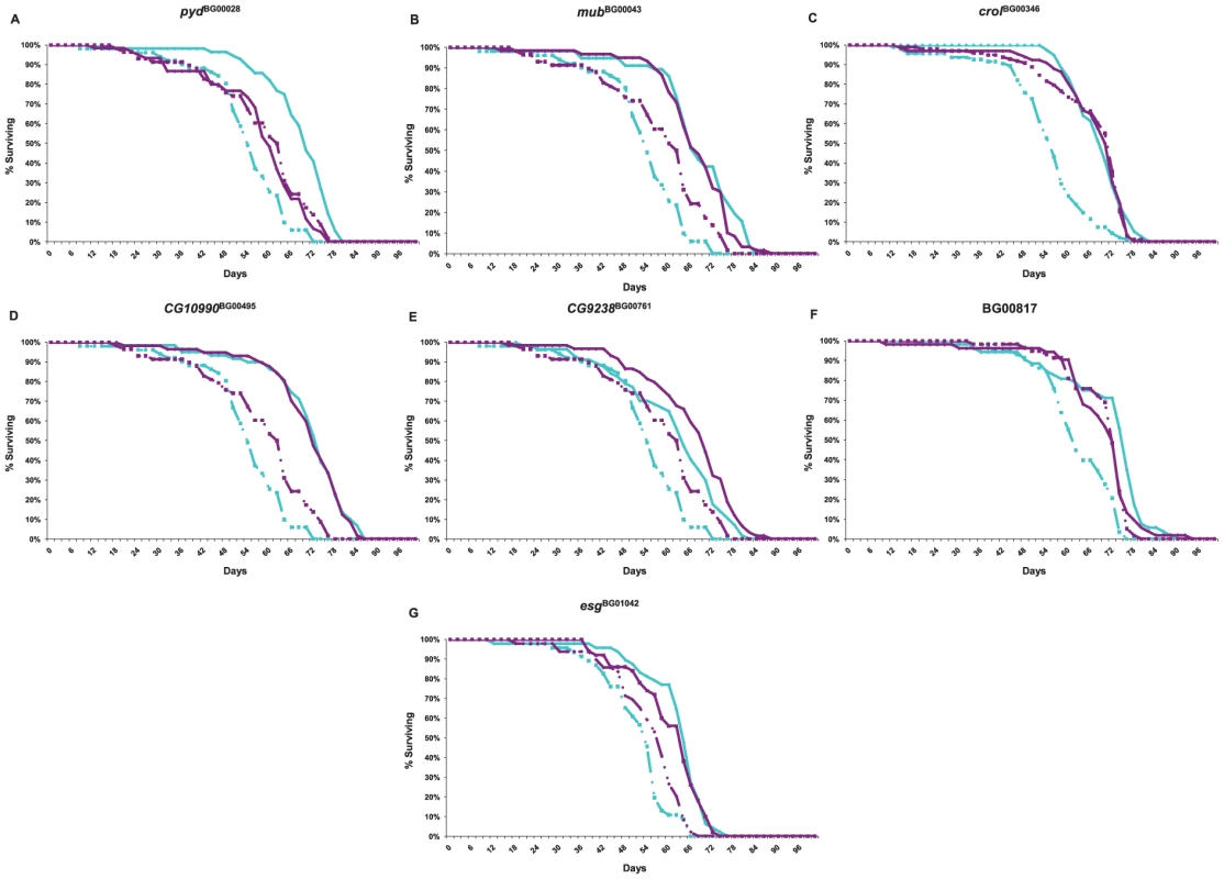 Survival curves of <i>P</i>–element insertion lines associated with increased life span (diamonds and solid lines) and the co–isogenic control line (Canton S F, squares and dashed lines) used for whole genome microarray profiling.