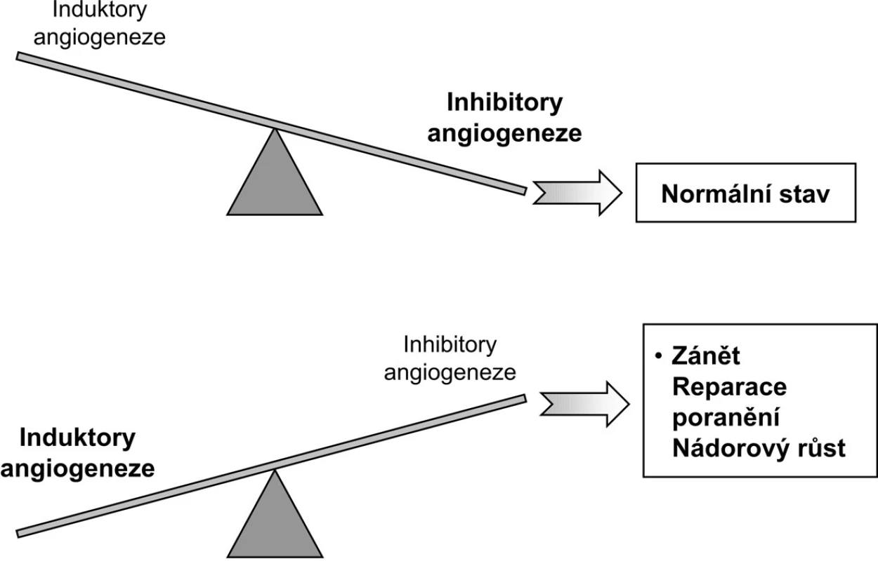 Rovnováha induktorů a inhibitorů angiogeneze (upraveno podle A.E. Kochové; 3).
