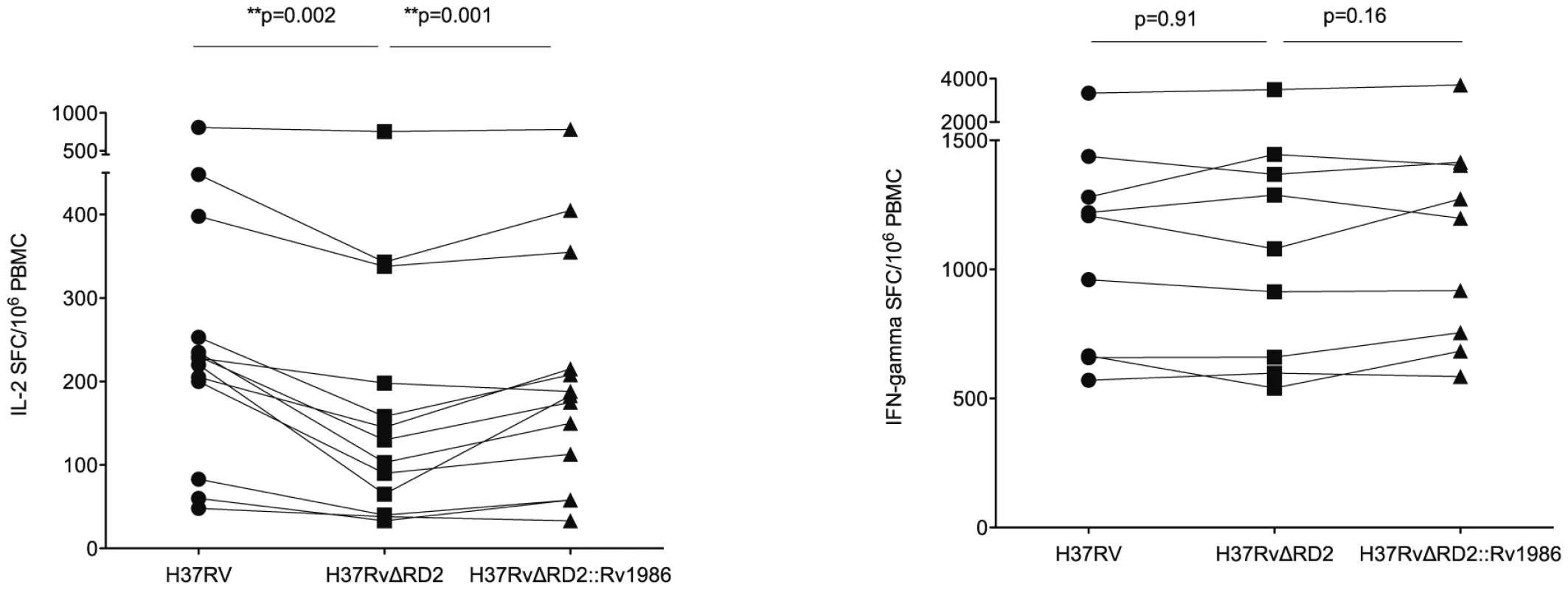 Live recognition of M. tuberculosis H37Rv, H37RvΔRD2 and H37RvΔRD2::Rv1986.